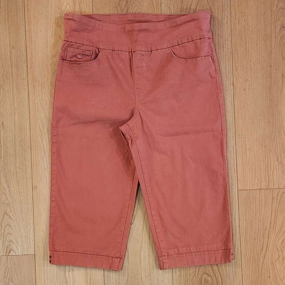 Gloria Vanderbilt Pull-On Skimmer